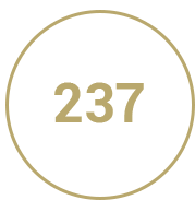 Шахматная задача 237
